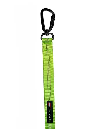 MAMO PET SPORTS | Laisse Active Mountain | grün
